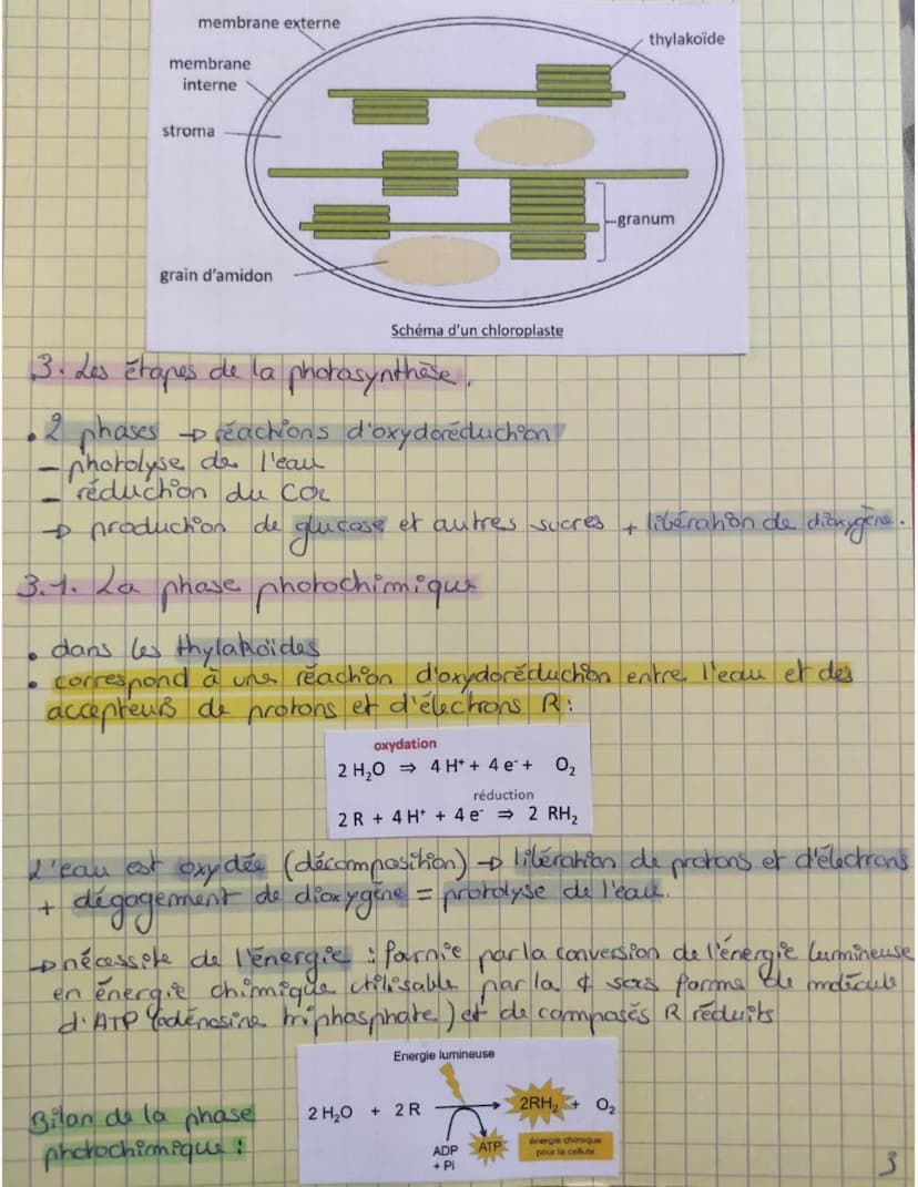 3.2. La
phose
chimique
• reduction du co₂ qui aboutit à l'assimilation proces, ine
de dioxyde de carbone + Pormation de molecule ogoniques
(