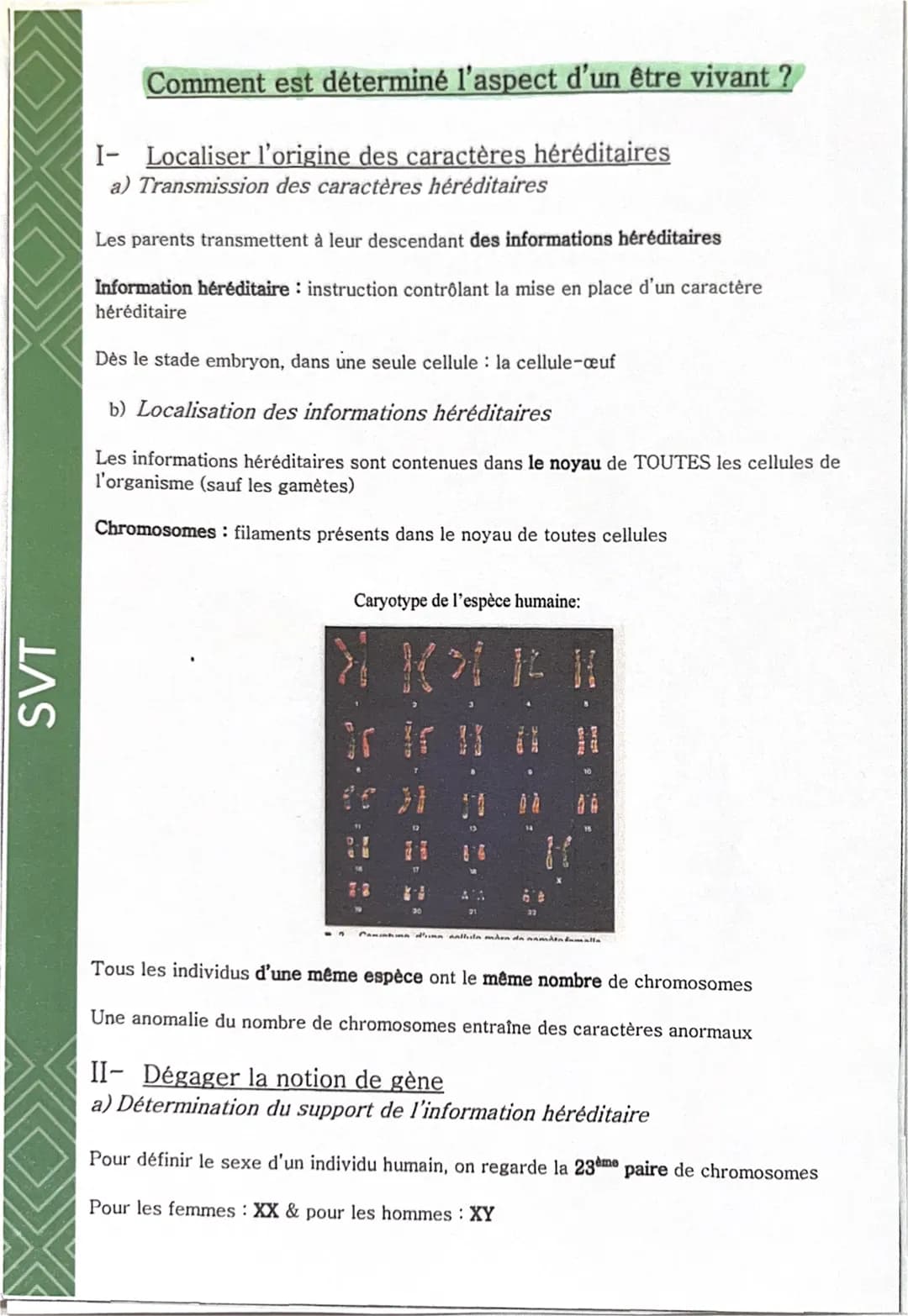 SVT
Comment est déterminé l'aspect d'un être vivant ?
I- Localiser l'origine des caractères héréditaires
a) Transmission des caractères héré