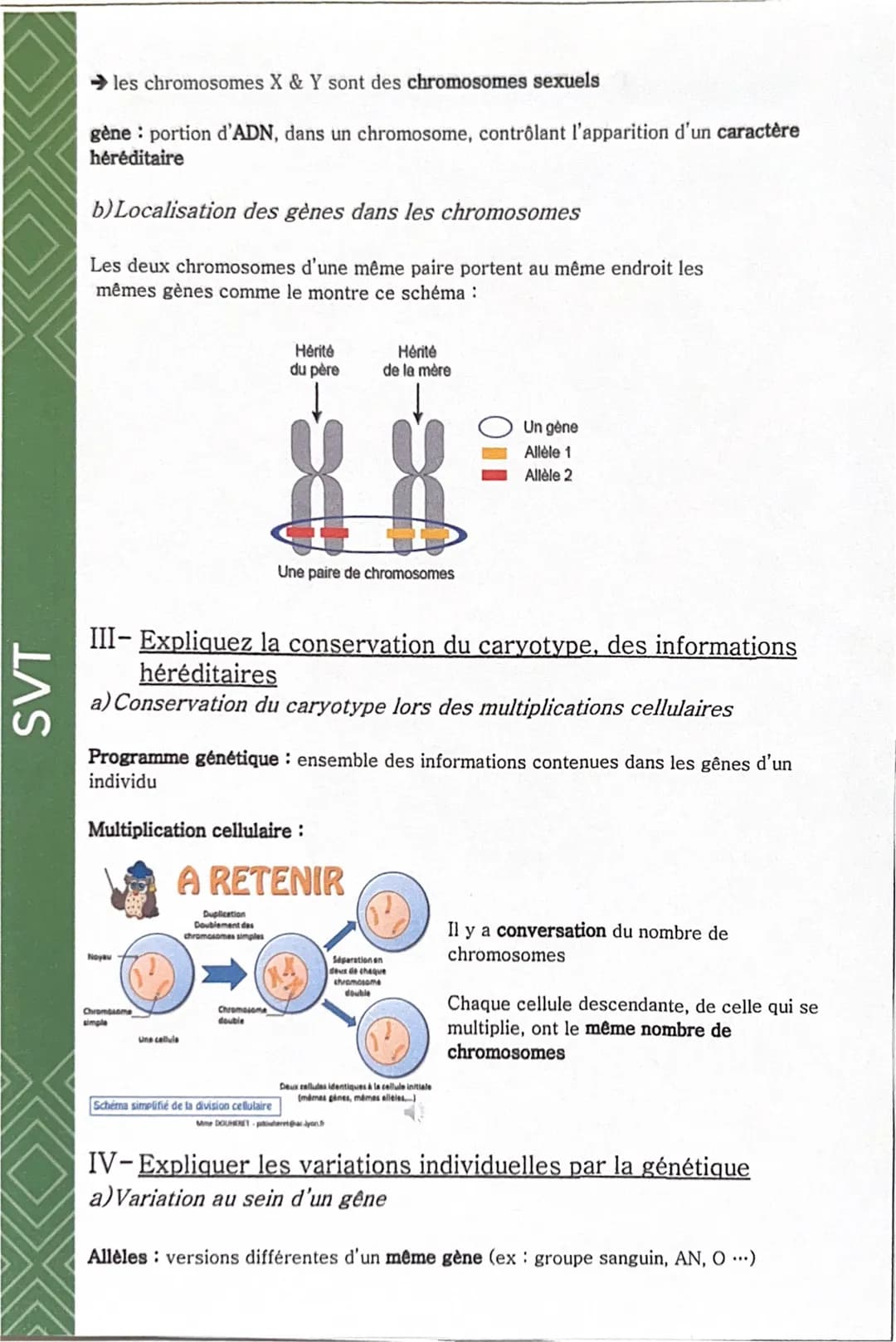 SVT
Comment est déterminé l'aspect d'un être vivant ?
I- Localiser l'origine des caractères héréditaires
a) Transmission des caractères héré