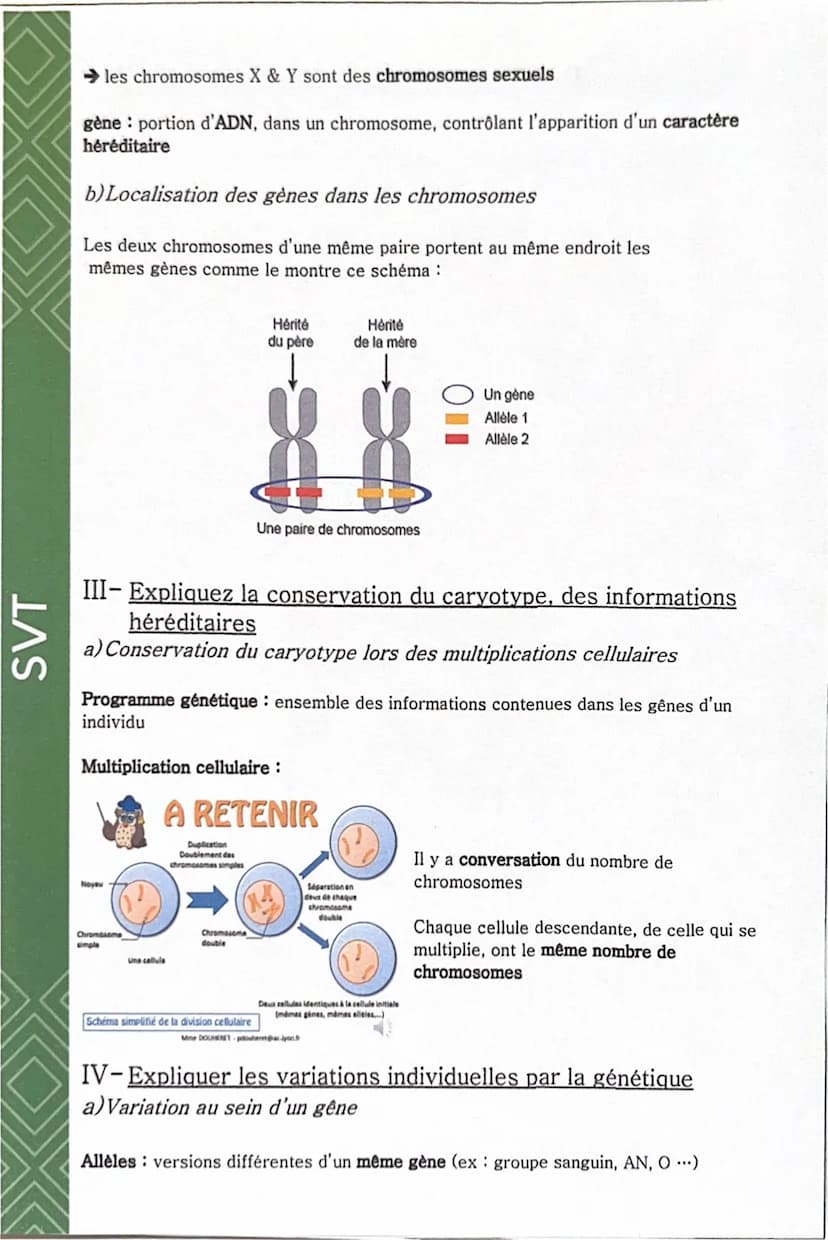 SVT
Comment est déterminé l'aspect d'un être vivant ?
I- Localiser l'origine des caractères héréditaires
a) Transmission des caractères héré