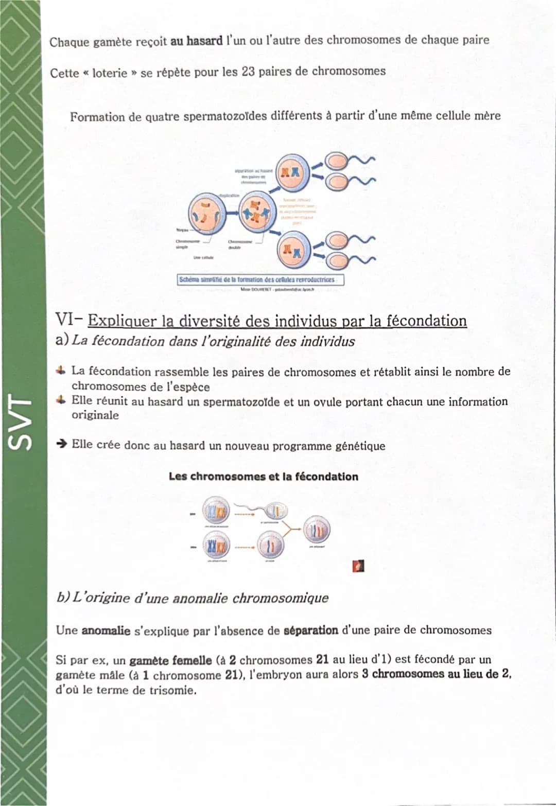SVT
Comment est déterminé l'aspect d'un être vivant ?
I- Localiser l'origine des caractères héréditaires
a) Transmission des caractères héré