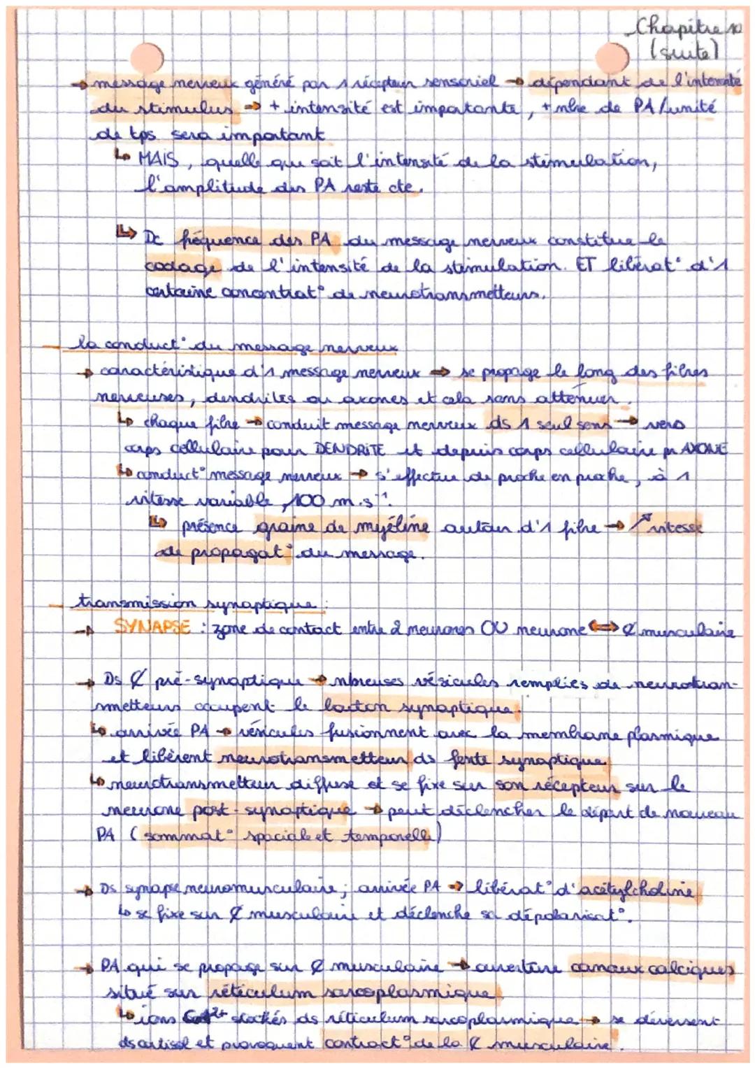 sot
Reflexes et motricité
les circuits naurationes impliques dans le réflere mustations
irganisation générale du reflexe mystatique
- centre