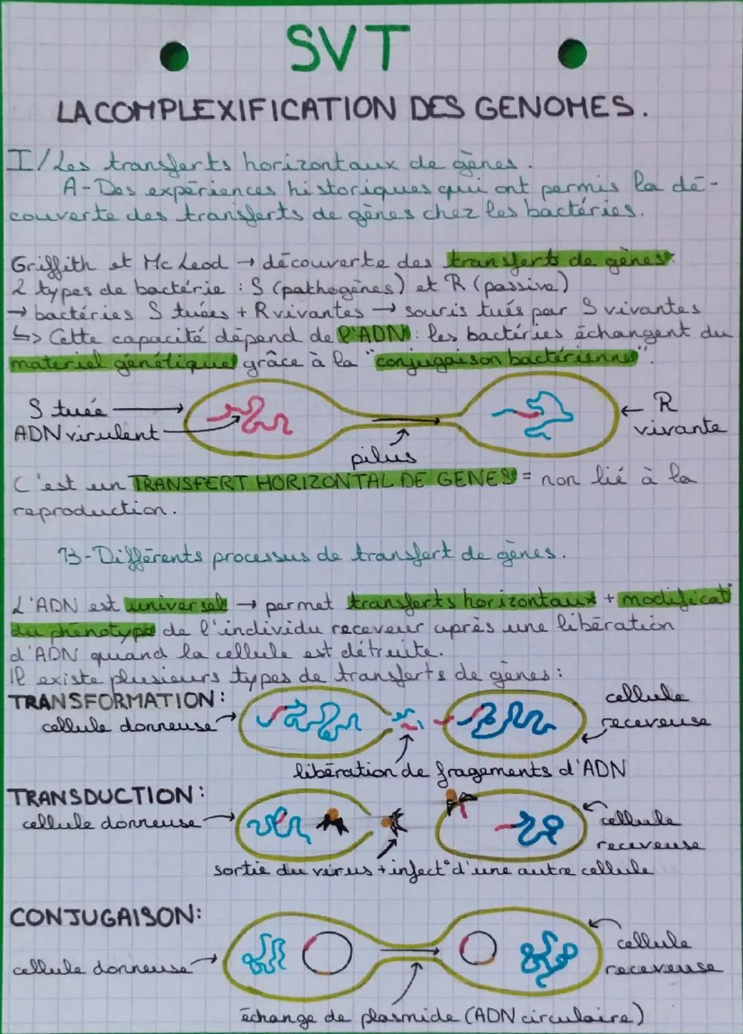SVT
LA COMPLEXIFICATION DES GENOMES.
I/Les transferts horizontaux de gènes
A-Des expériences historiques qui ont permis la de-
couverte des 