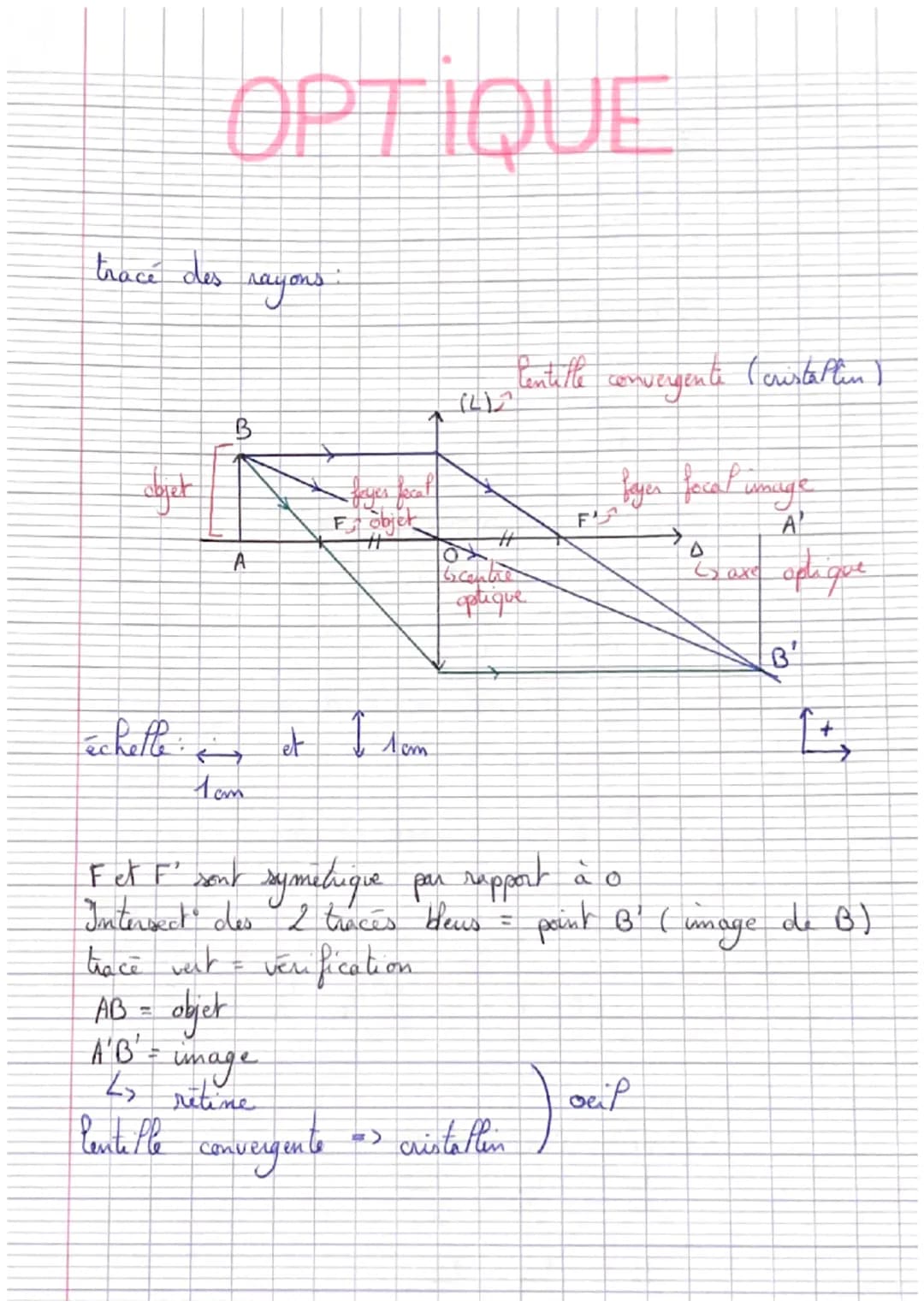 tracé des rayons
objet
OPTIQUE
échette:
B
A
10m
AB = objet
A'B' =
E objet
1 cm
image
4 retine
lente lle convergente
^
cm
(L)^
Tox
lentille c
