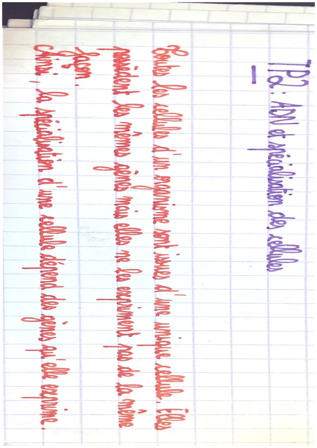 TP21:
ADN et spécialisation
des cellules
f
asabl
ADN: Sigle d'Acide Désoxyribo Nucléique, macromolécule qui
constitue l'information génétiqu