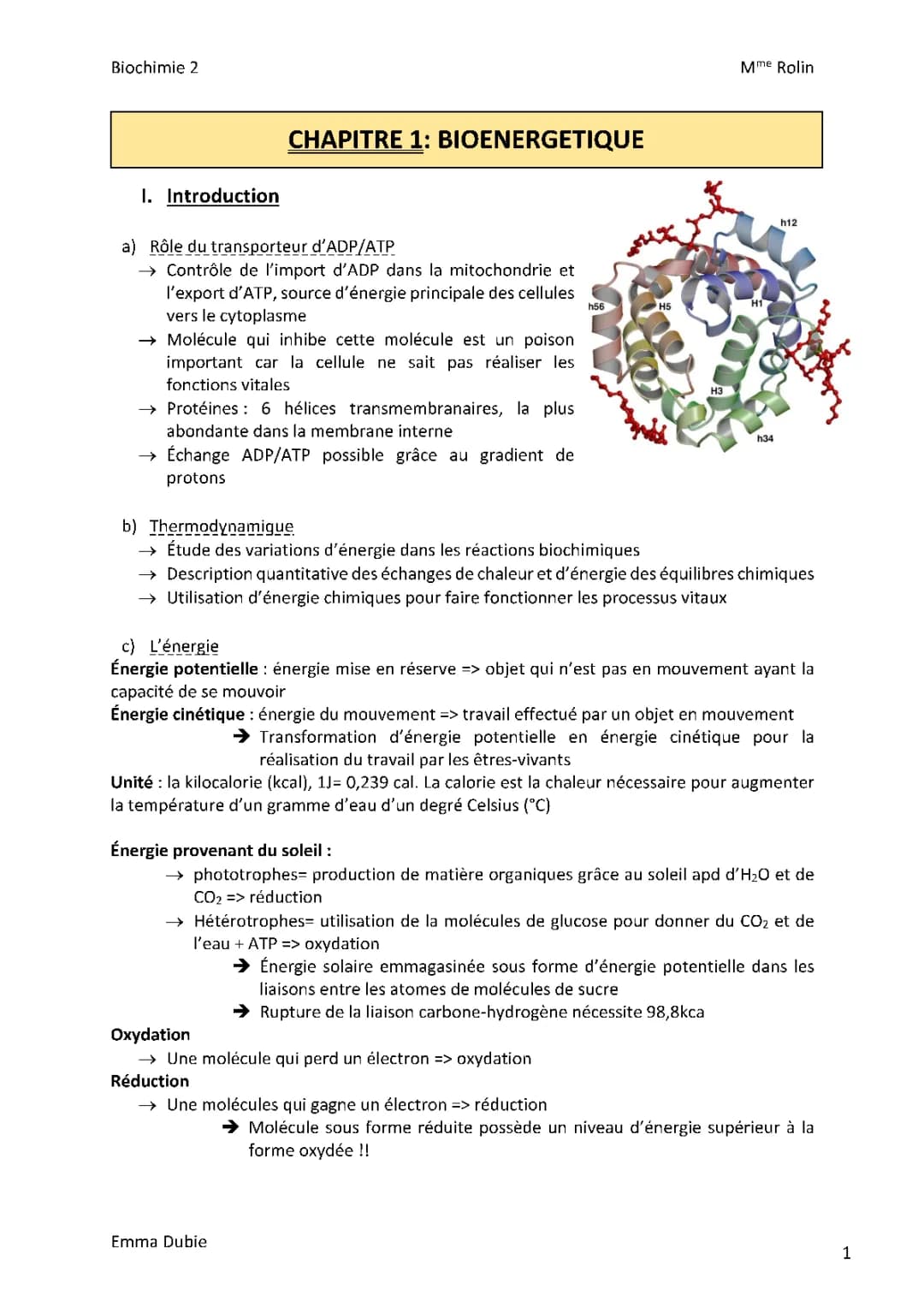 Comprendre l'importance du transporteur d'ADP/ATP en bioénergétique