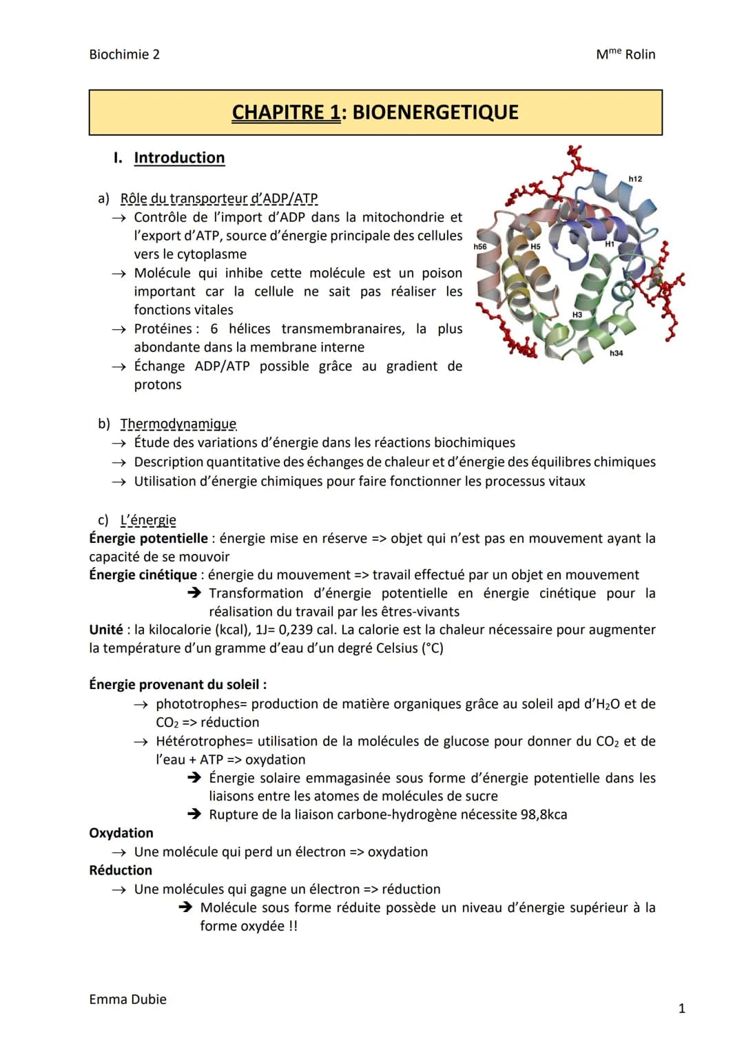 Biochimie 2
I. Introduction
CHAPITRE 1: BIOENERGETIQUE
a) Rôle du transporteur d'ADP/ATP
→ Contrôle de l'import d'ADP dans la mitochondrie e