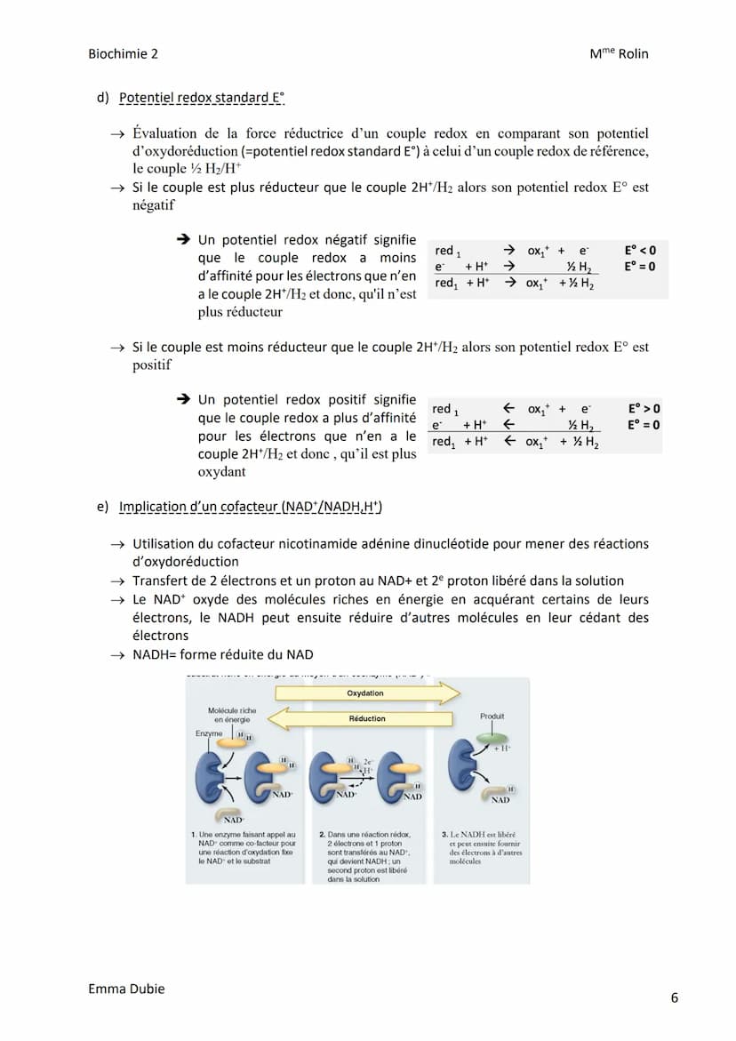 Biochimie 2
I. Introduction
CHAPITRE 1: BIOENERGETIQUE
a) Rôle du transporteur d'ADP/ATP
→ Contrôle de l'import d'ADP dans la mitochondrie e