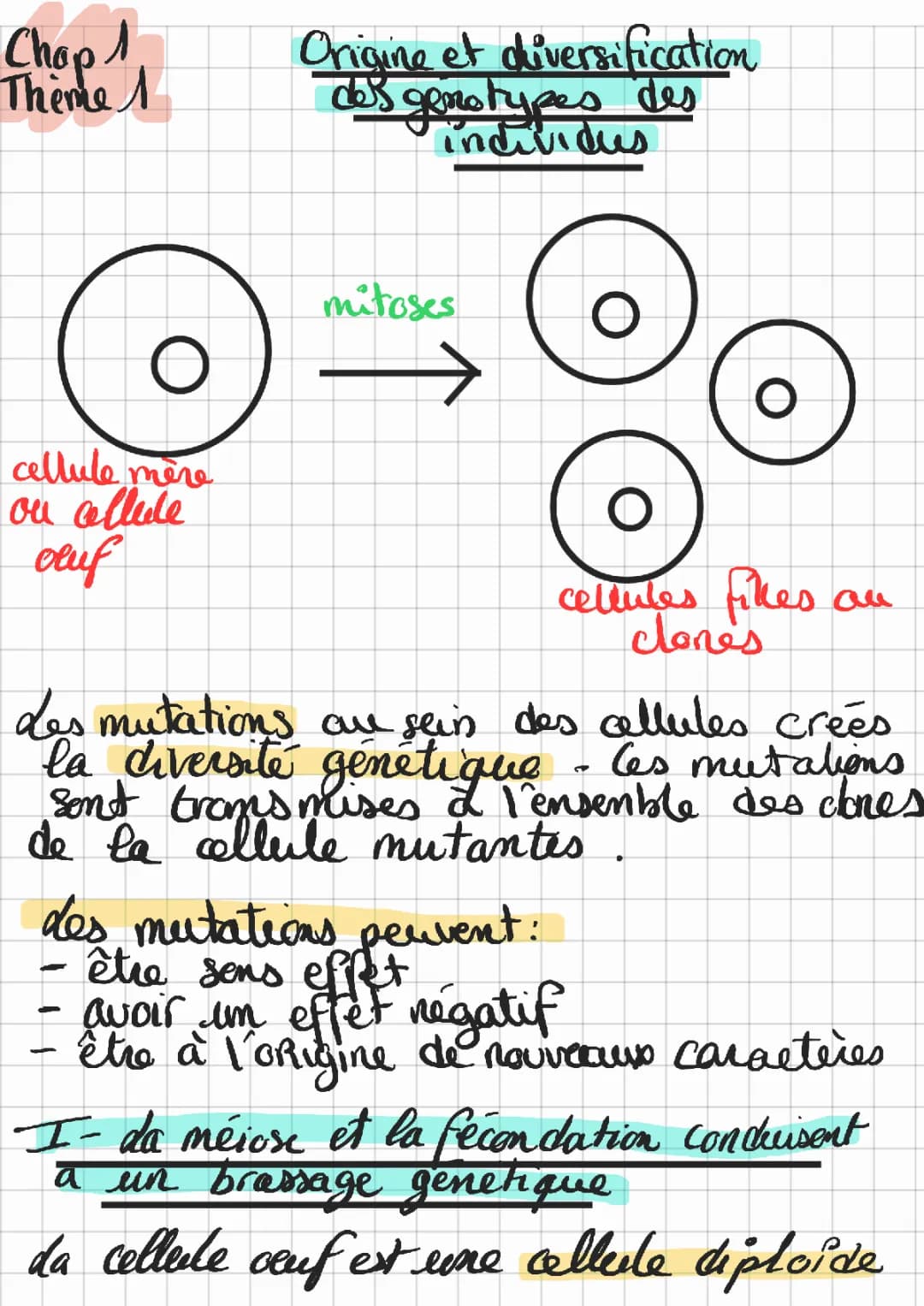 L'origine du génotype des individus - SVT Terminale PDF et exercices corrigés