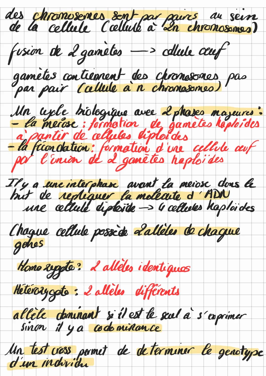 Chap 1
Theme 1
O
cellule mère
ou cellule
duf
Origine et diversification
do's genotypes des
-
mitoses
Les mutations au sein des cellules cree