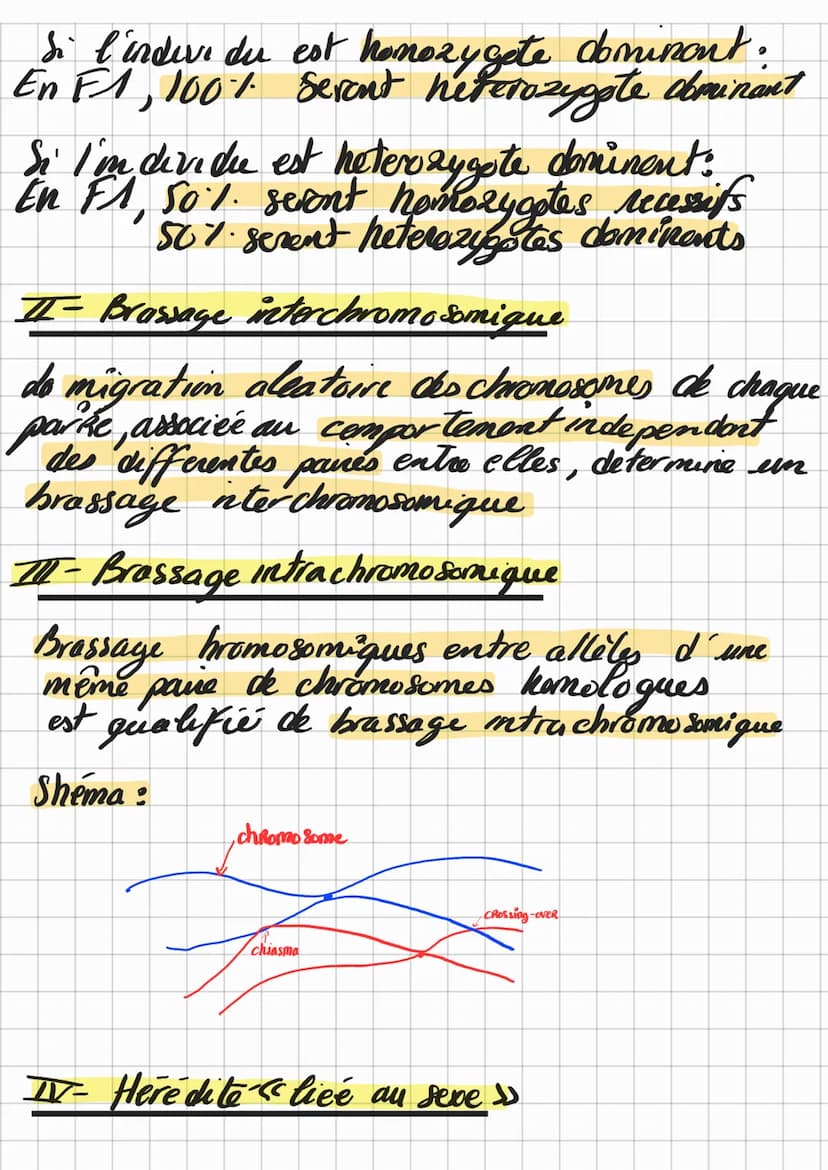 Chap 1
Theme 1
O
cellule mère
ou cellule
duf
Origine et diversification
do's genotypes des
-
mitoses
Les mutations au sein des cellules cree