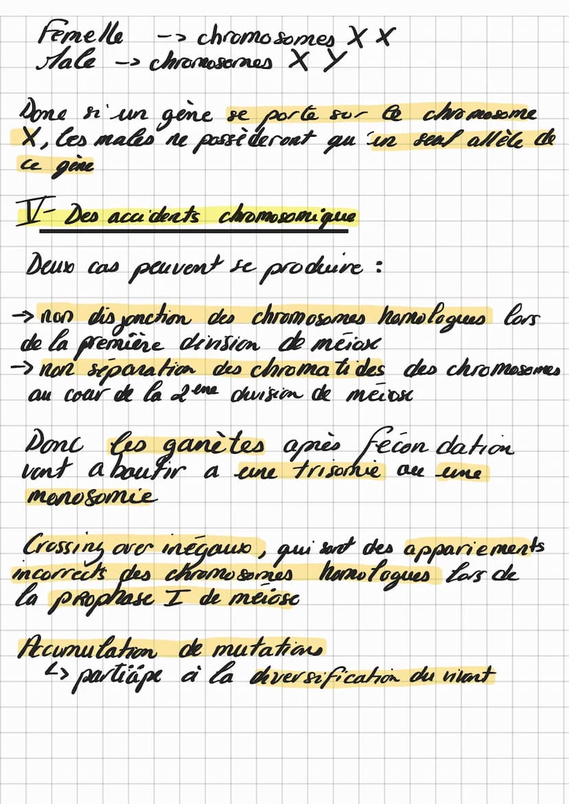 Chap 1
Theme 1
O
cellule mère
ou cellule
duf
Origine et diversification
do's genotypes des
-
mitoses
Les mutations au sein des cellules cree