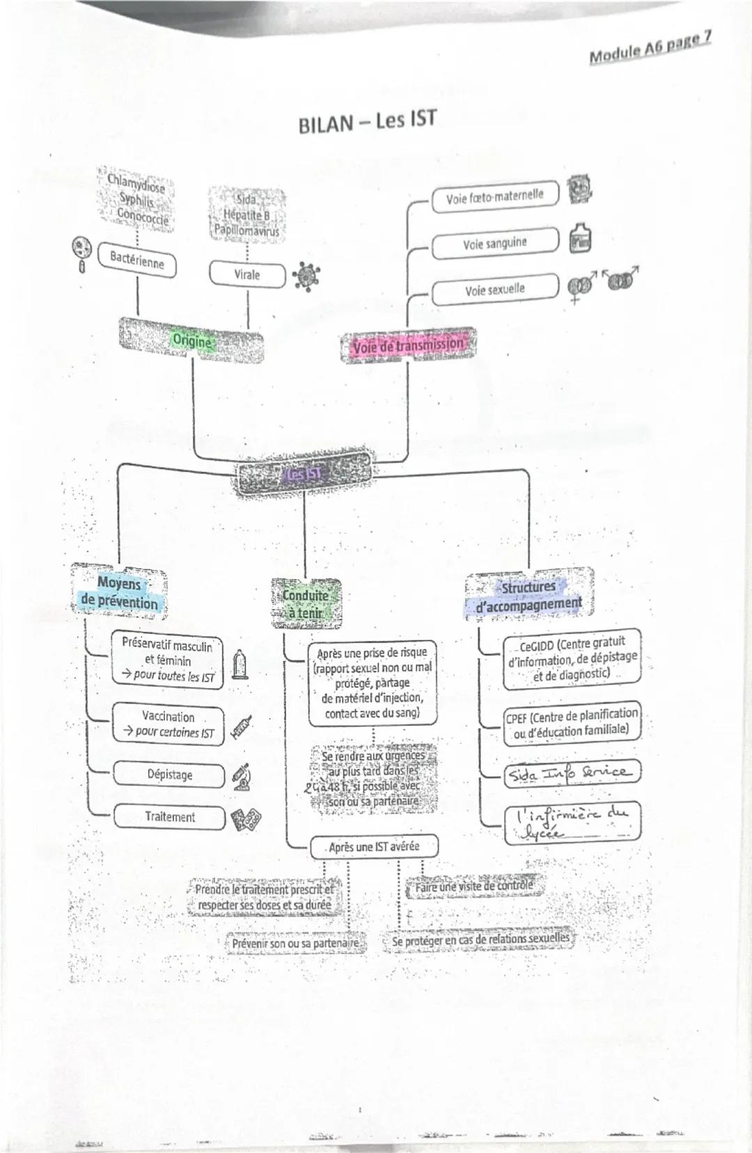 0

Chlamydiose
Syphilis
Conococcie

Bactérienne

da
Hépatite B
Papillomavirus

Virale

BILAN-Les IST

Voie fæto-maternelle

Voie de transmis