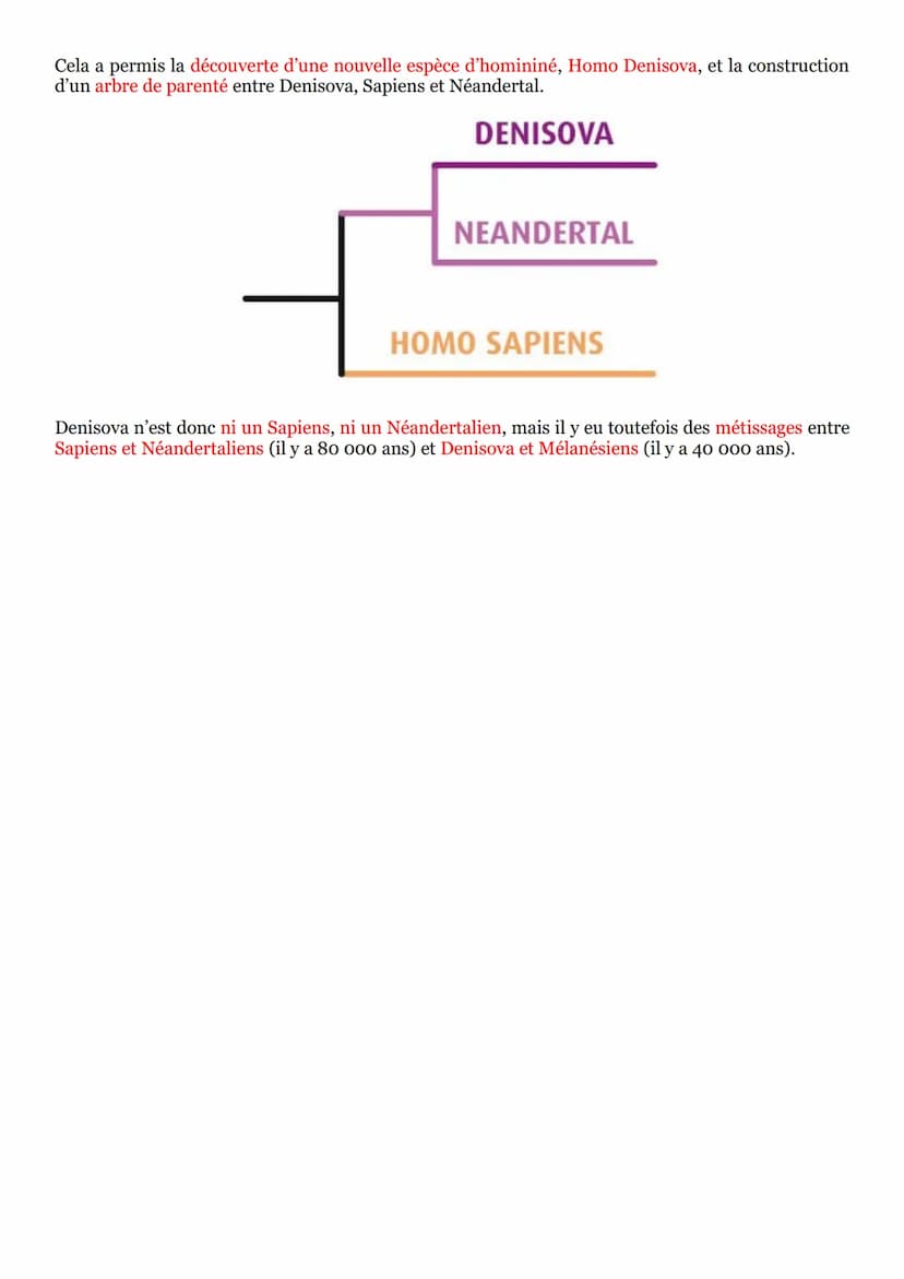PARTIE 2: Transmission, variation et expression du patrimoine
génétique :
Chapitre n°3 : Variabilité génétique :
I-Mutations de l'ADN et var