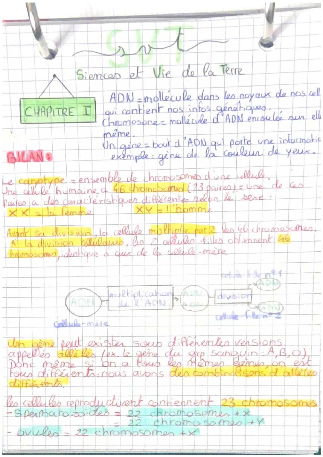 Comprendre l'ADN - SVT en un clin d'œil