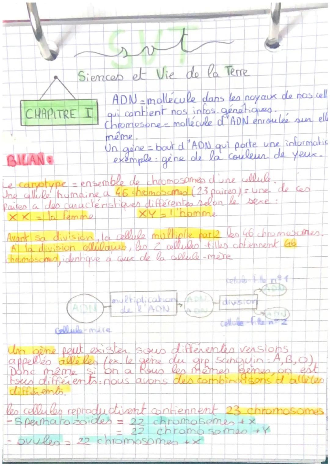 لمد
Siences et Vie de la Terre
CHAPITRE I
ADN-mollecule dans les noyaux de nos cell
contient nos infos génétiques.
quil
Chromosone - mollécu