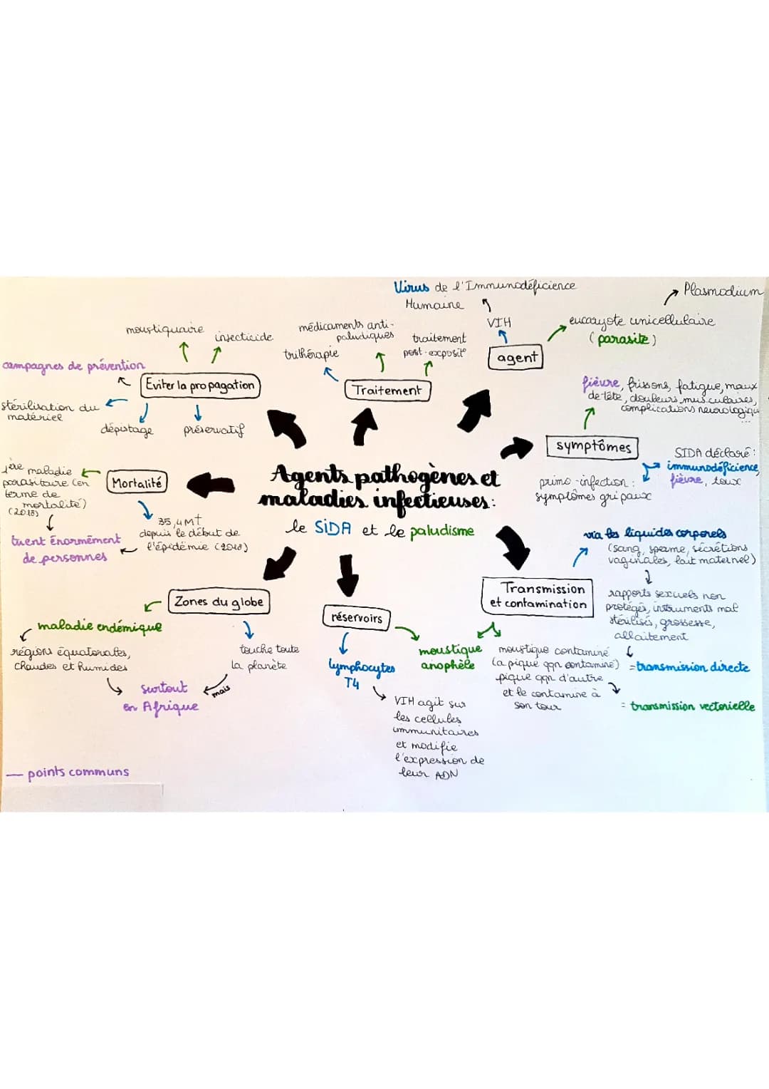 Tableau comparatif SIDA et Paludisme - SVT Seconde