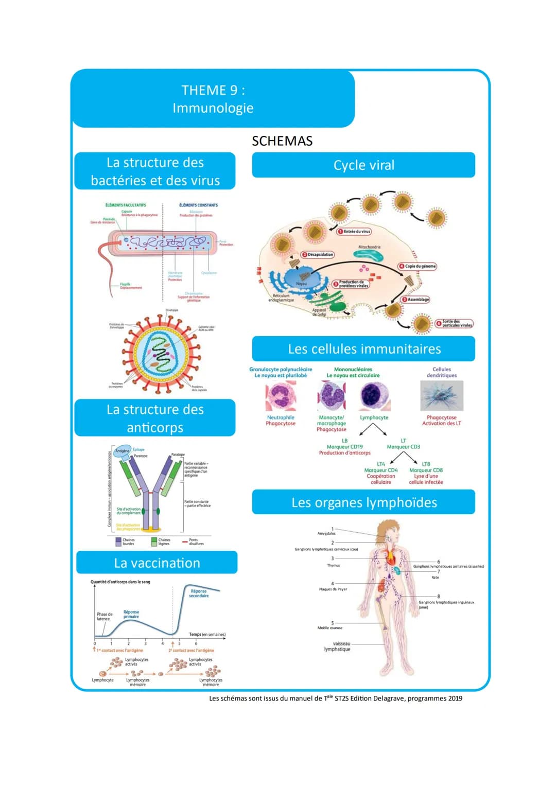 THEME 9:
Immunologie
VOCABULAIRE
Vocabulaire
Adénomégalie
2 Allogreffe
Antibiotique
4
Anticorps
Antigène
6
Bactérie
7
Champignon
8
Endémie
9