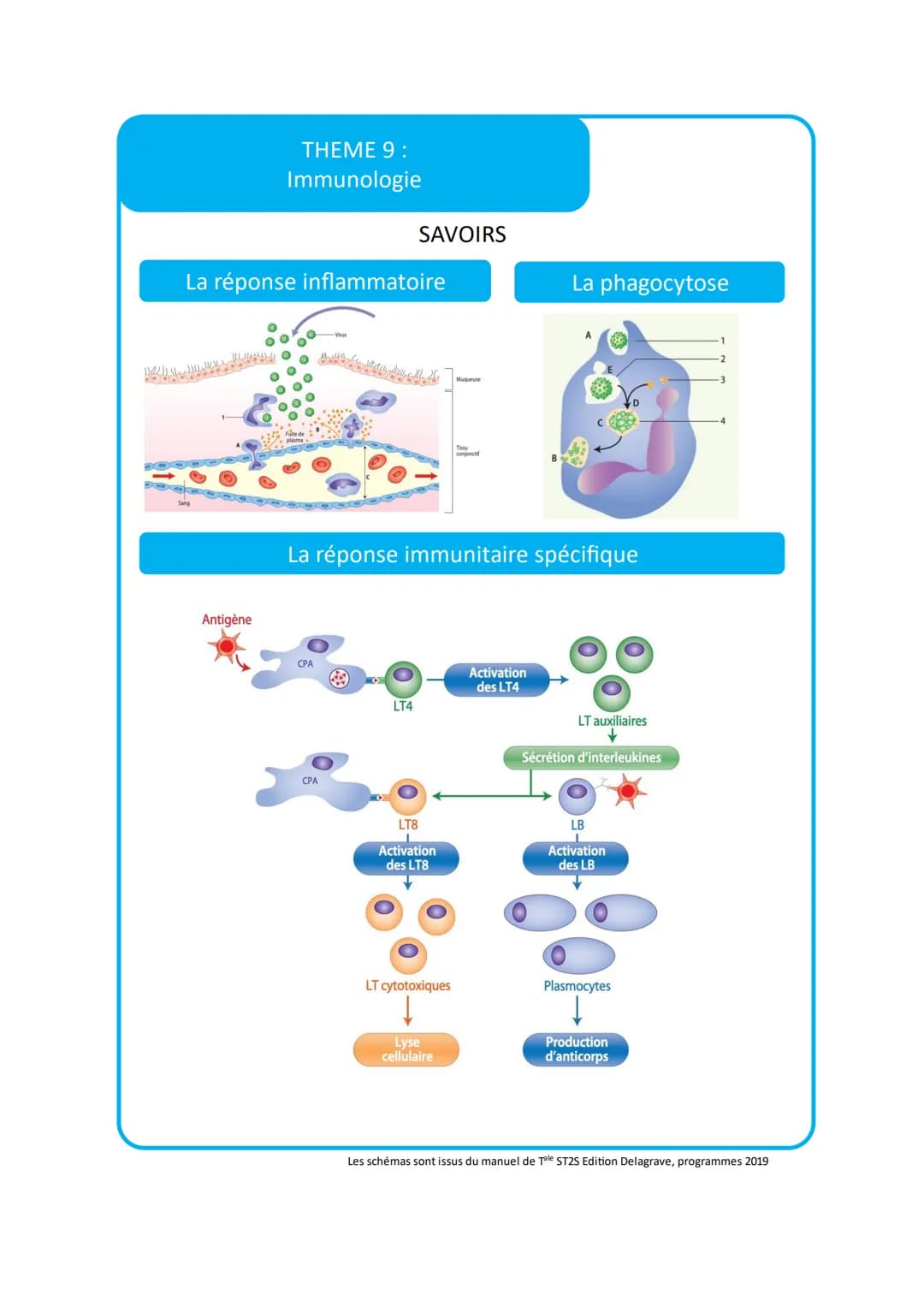THEME 9:
Immunologie
VOCABULAIRE
Vocabulaire
Adénomégalie
2 Allogreffe
Antibiotique
4
Anticorps
Antigène
6
Bactérie
7
Champignon
8
Endémie
9