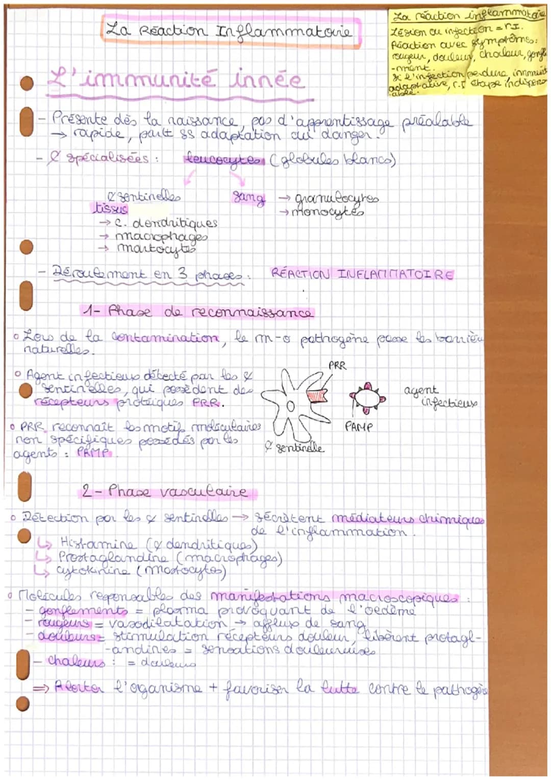 La Reaction Inflammatorie
L'immunité innée
Za reaction inflammatore
Lesion ou infection = r.
Reaction avec symptômes:
сидели,
-ment
• douleu