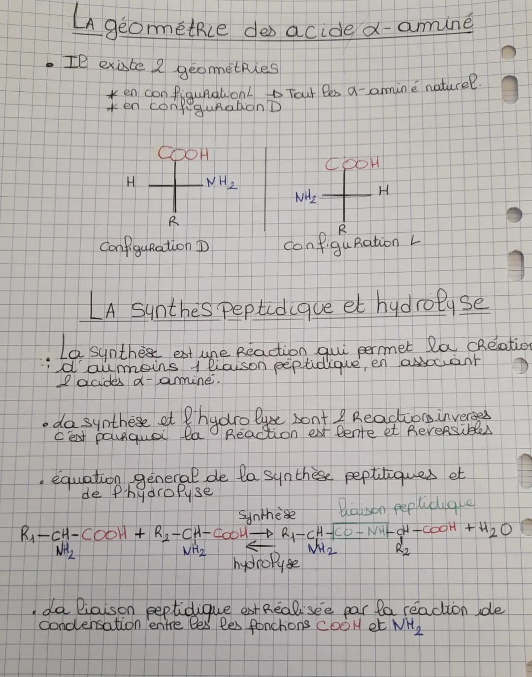 DES ACIDES AN INES
AUX PROTEINES
DESCRIPTION DES ACIDES X-AMINĖS
*Definition
Un acide α-aminé est une biomolécule possédant un
acide carboxy