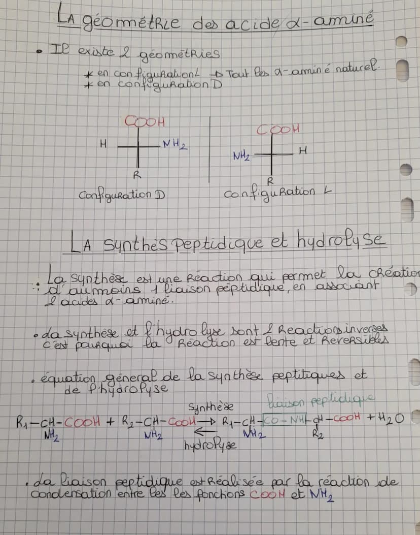 DES ACIDES AN INES
AUX PROTEINES
DESCRIPTION DES ACIDES X-AMINĖS
*Definition
Un acide α-aminé est une biomolécule possédant un
acide carboxy