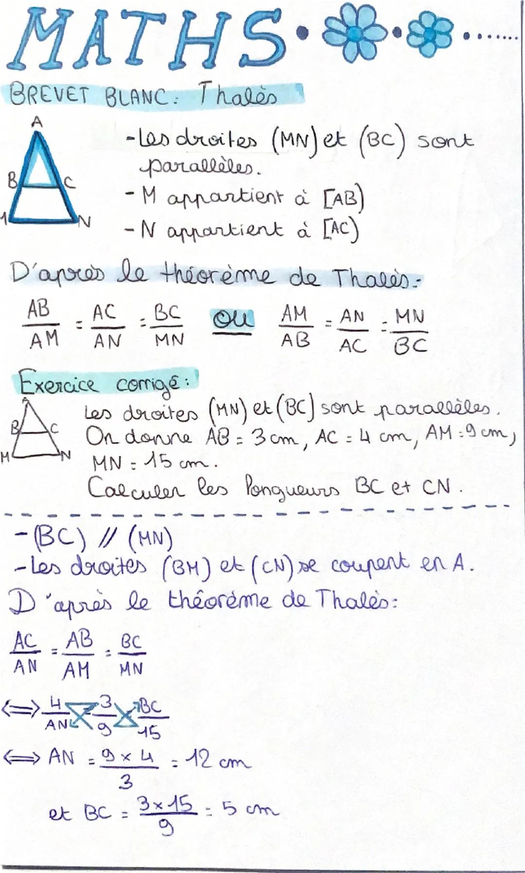 # MATHS **

BREVET BLANC: Thales

A

A
11
M
B
C
N
-Les droites (MN) et (BC) sont
parallèles.
- M appartient à [AB)
-N appartient à [AC)

D'a