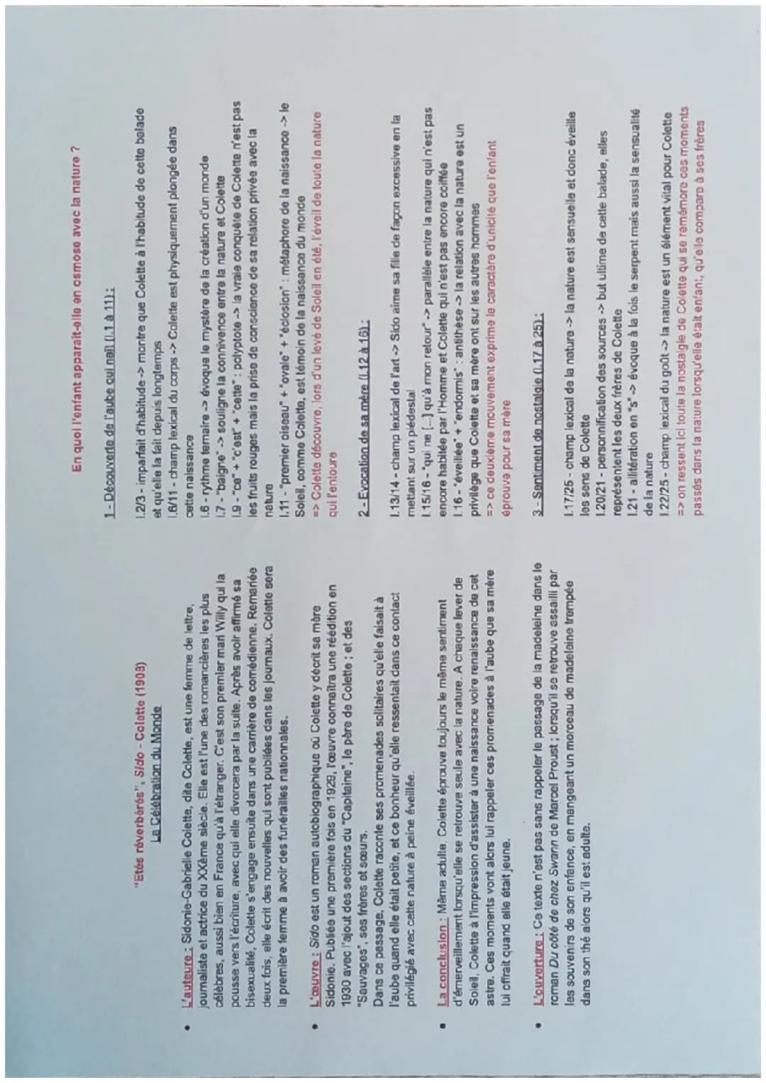Explication Linéaire - Été Réverbérés de Colette