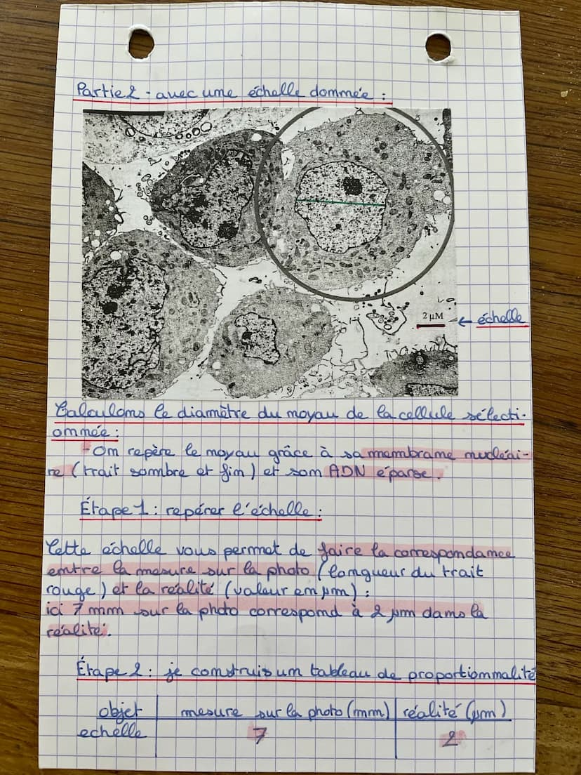 SVT-Fiche méthode 9
Etape 3. je mesure sur la photo la longueur qui
m'intéresse, ici le diamètre du moyau:
our la photo le diamètre du moyou
