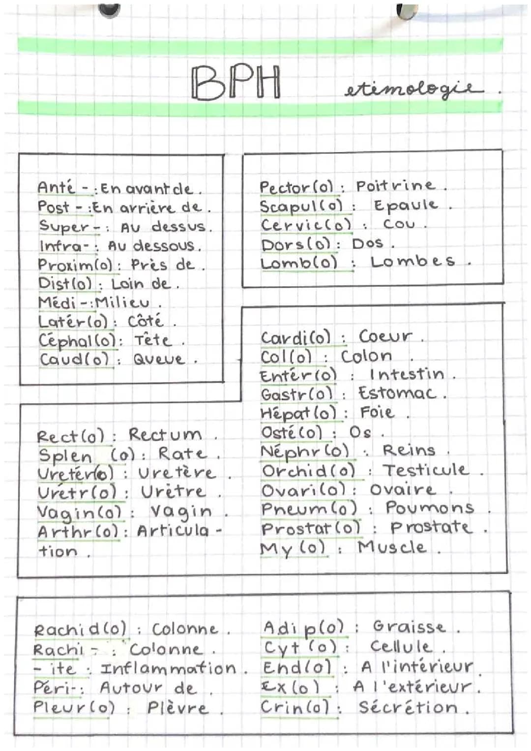 Vocabulaire Médical : Suffixes, Préfixes et Racines en PDF