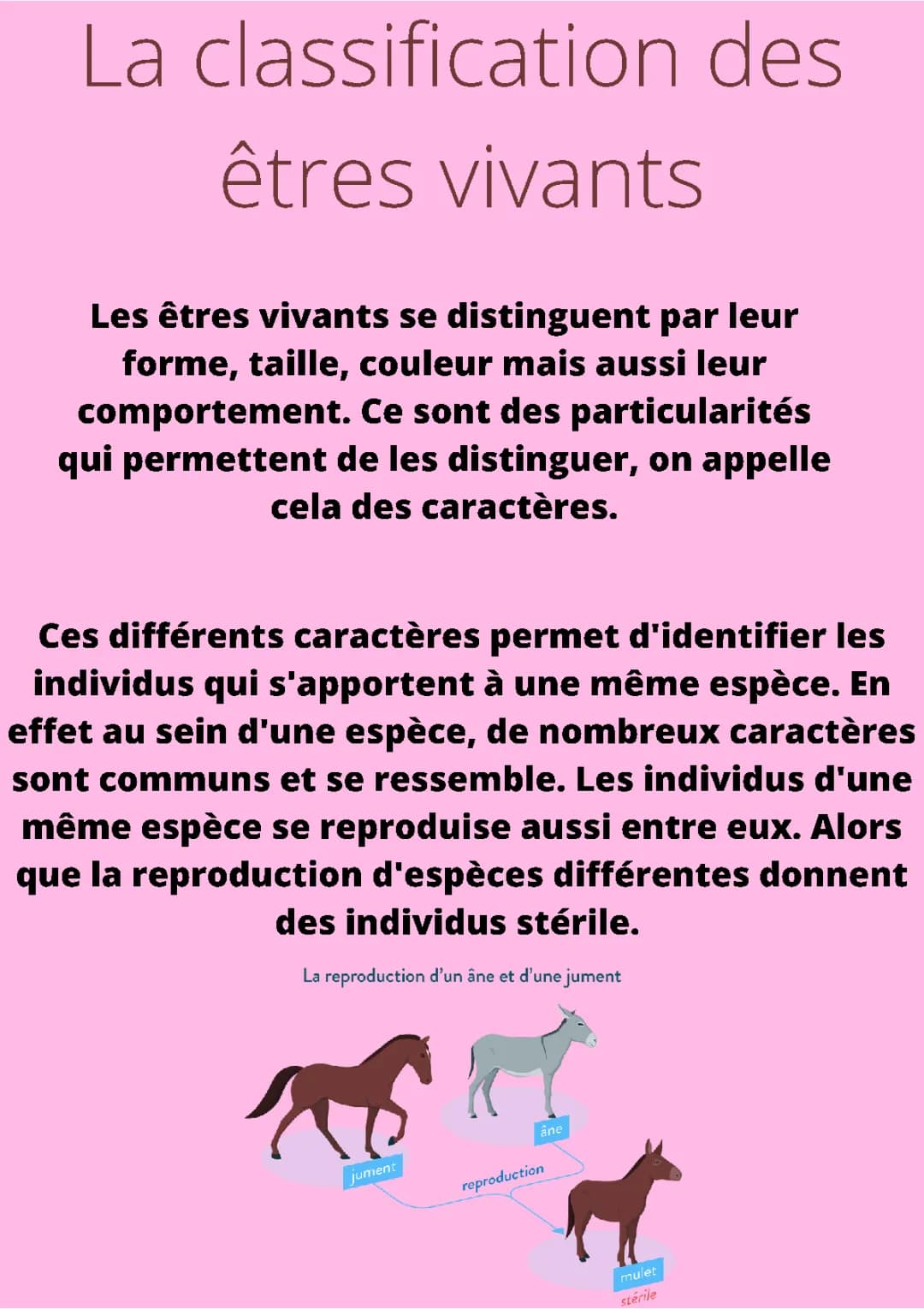 Tableau de Classification des Êtres Vivants pour les Élèves de CM2 et 6ème