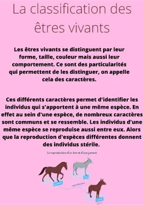 Know la classification des êtres vivants thumbnail