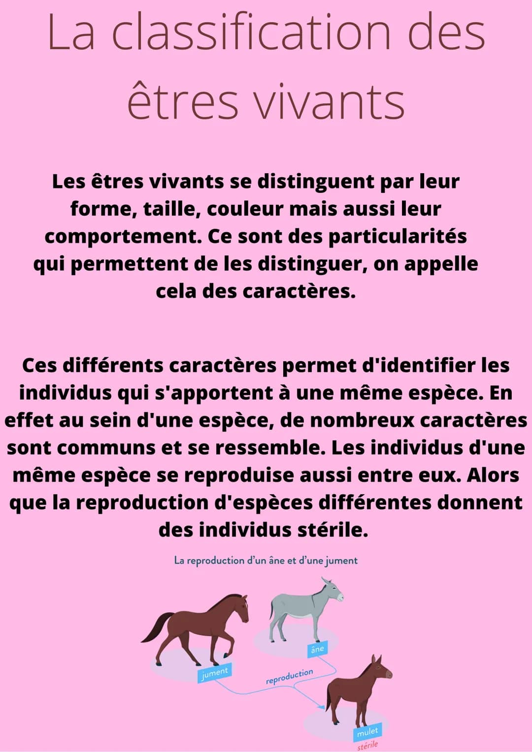 La classification des
êtres vivants
Les êtres vivants se distinguent par leur
forme, taille, couleur mais aussi leur
comportement. Ce sont d