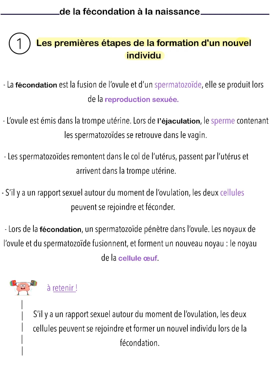 de la fécondation à la naissance 