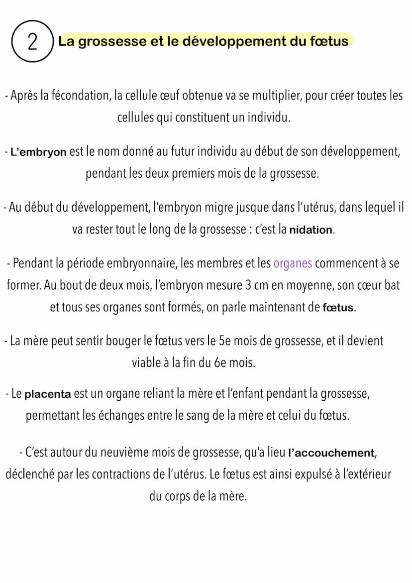 de la fécondation à la naissance.
1 Les premières étapes de la formation d'un nouvel
individu
- La fécondation est la fusion de l'ovule et d