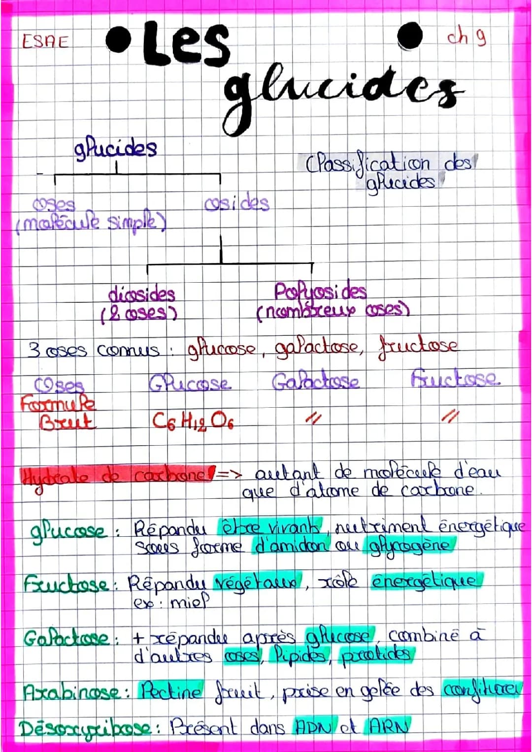 Les glucides