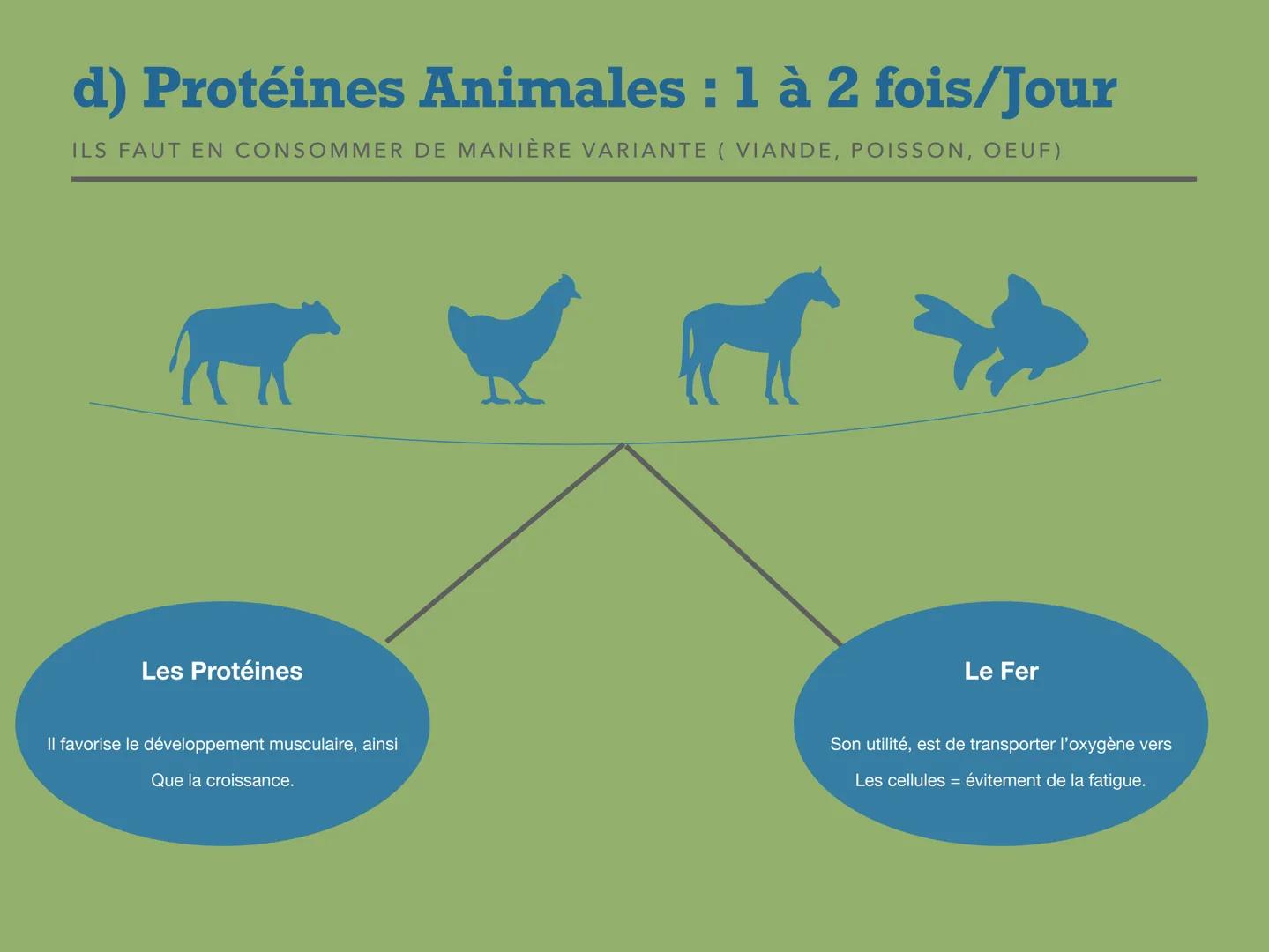 # Adopter une vie saine et équilibrée

IFSI ARMENTIÈRES --- OCR Start ---
Sommaire
I- Définition d'une << Vie Saine et équilibrée ».
II- Les