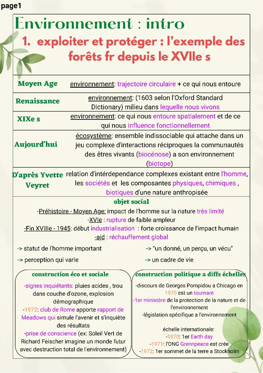 Petite histoire de l'environnement : tout savoir sur les lois, l'industrialisation et la pollution