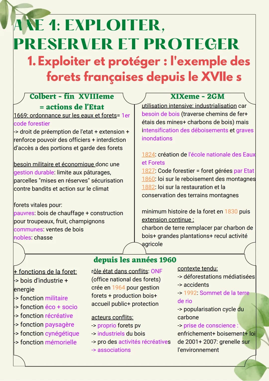 page1
Environnement : intro
1. exploiter et protéger : l'exemple des
forêts fr depuis le XVIIe s
Moyen Age
Renaissance
XIXe s
environnement: