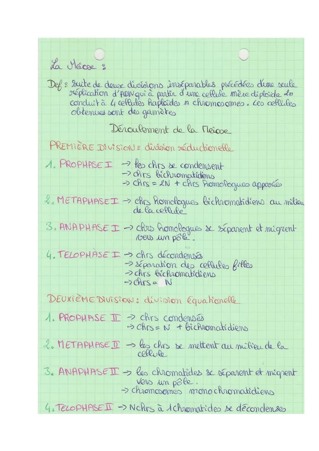 SVT
Def & division cellulaire précédée de la réplication de l'ADN,
Conduisant à partir d'une cellule mère, au partage de
l'information génét