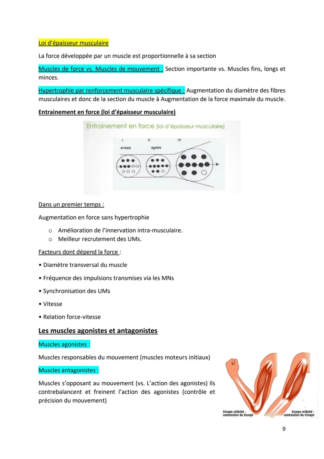 Physiologie musculaire :
Bone
1. Propriété contractile du muscle
• Tissus musculaire Protéines aux propriétés contractiles
• Tissus conjonct