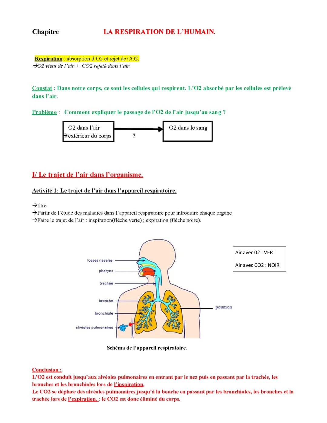 la respiration humaine-5e SVT
