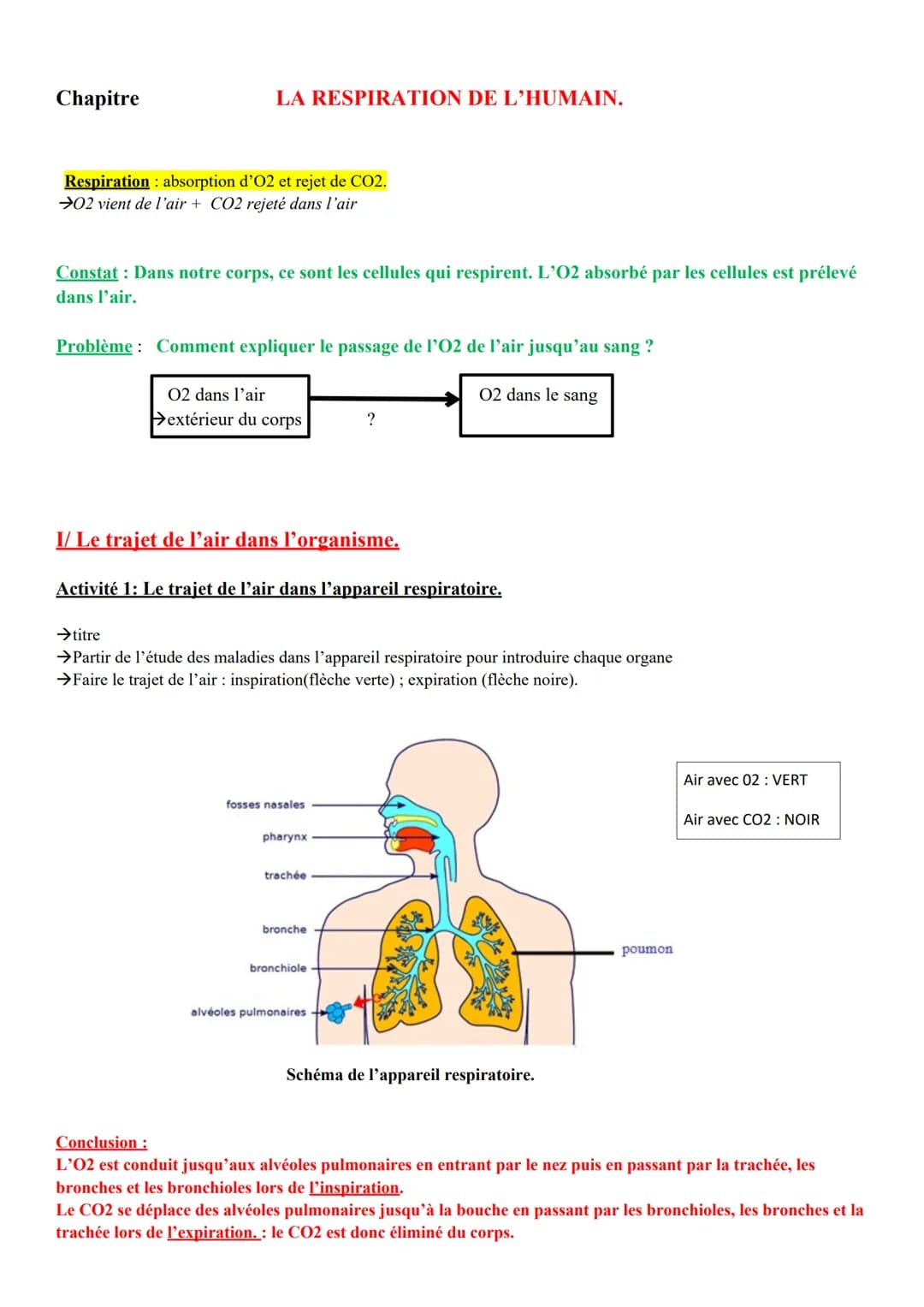 Chapitre
LA RESPIRATION DE L'HUMAIN.
Respiration: absorption d'O2 et rejet de CO2.
→02 vient de l'air + CO2 rejeté dans l'air
Constat : Dans
