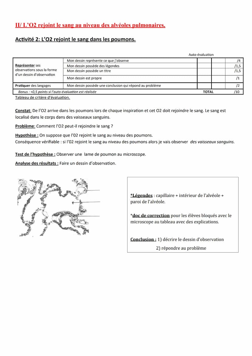 Chapitre
LA RESPIRATION DE L'HUMAIN.
Respiration: absorption d'O2 et rejet de CO2.
→02 vient de l'air + CO2 rejeté dans l'air
Constat : Dans