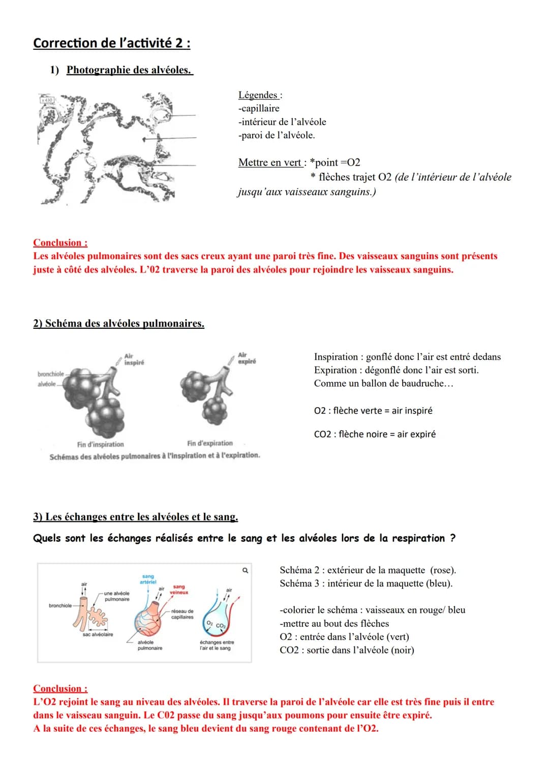 Chapitre
LA RESPIRATION DE L'HUMAIN.
Respiration: absorption d'O2 et rejet de CO2.
→02 vient de l'air + CO2 rejeté dans l'air
Constat : Dans