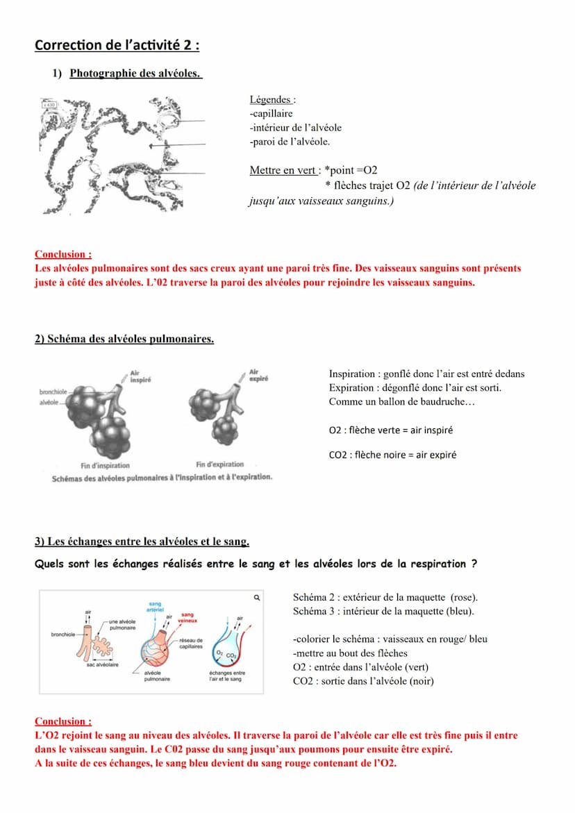 Chapitre
LA RESPIRATION DE L'HUMAIN.
Respiration: absorption d'O2 et rejet de CO2.
→02 vient de l'air + CO2 rejeté dans l'air
Constat : Dans