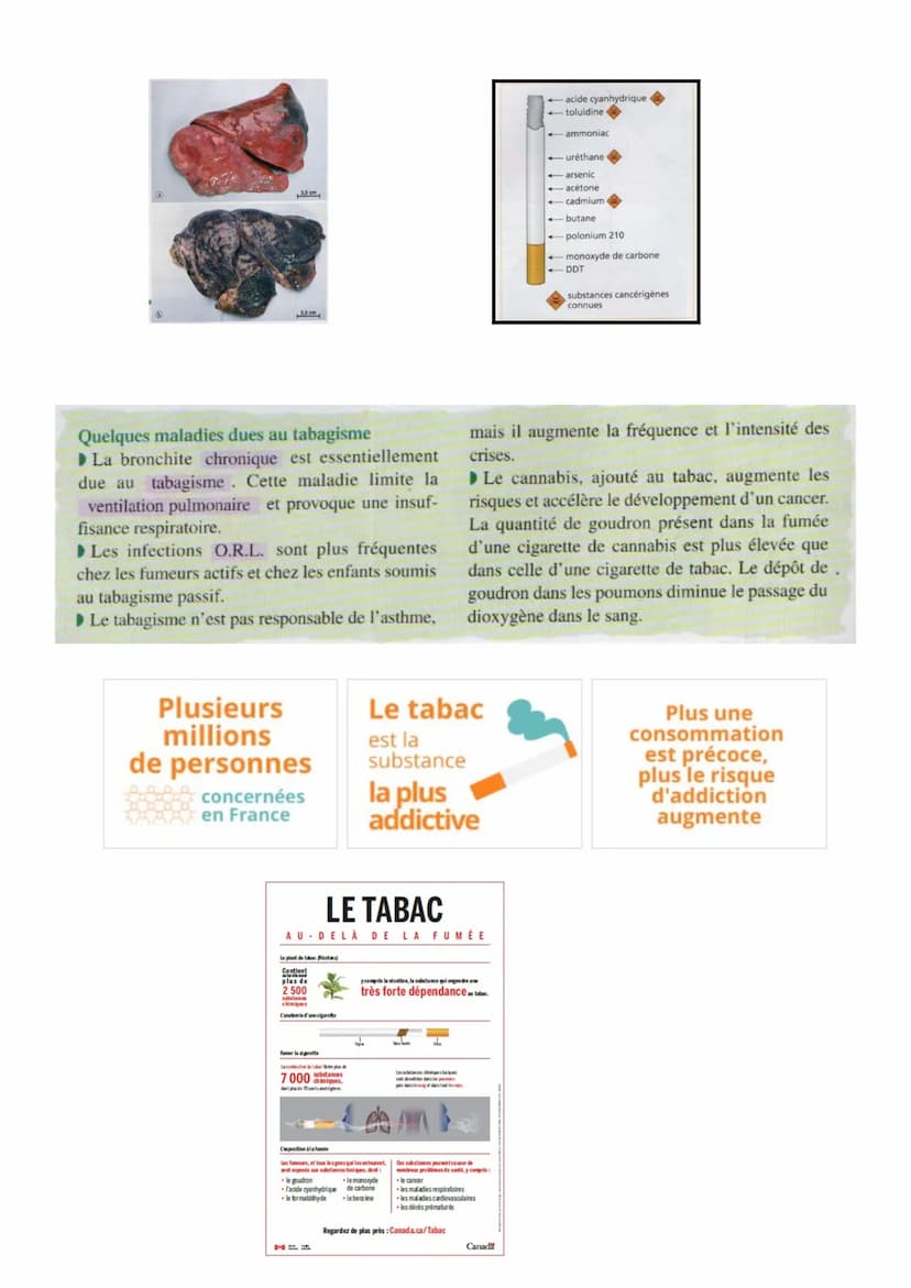 Chapitre
LA RESPIRATION DE L'HUMAIN.
Respiration: absorption d'O2 et rejet de CO2.
→02 vient de l'air + CO2 rejeté dans l'air
Constat : Dans