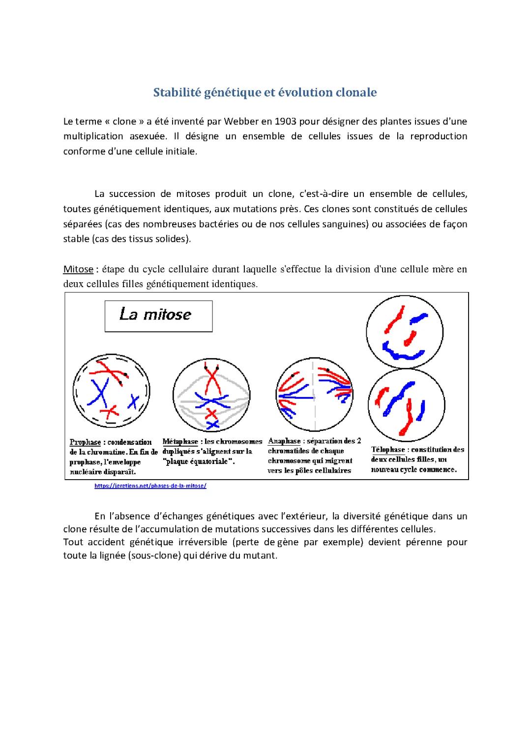 Stabilité Génétique et Évolution Clonale Terminale: Définition, Mutations et Exemples