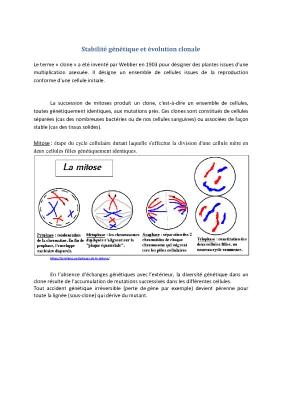 Know Stabilité génétique et évolution clonale thumbnail