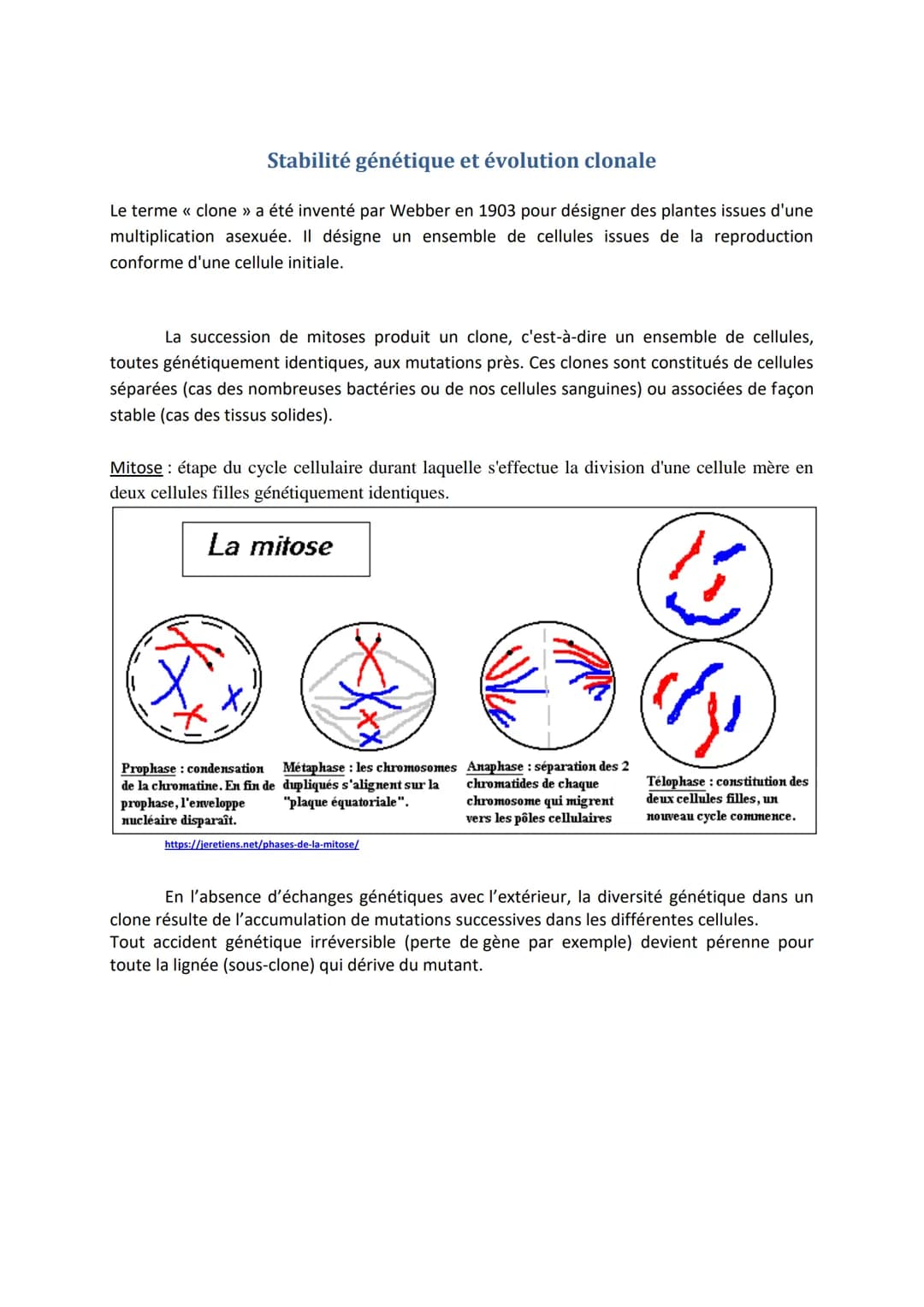 Stabilité génétique et évolution clonale
Le terme << clone » a été inventé par Webber en 1903 pour désigner des plantes issues d'une
multipl